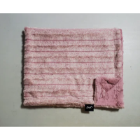 Winx & Blinx Minky Blanket - Frosted Pink